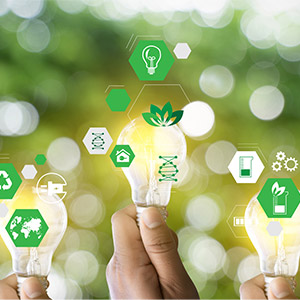 Sustainable Management